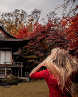 Japan - Kyoto